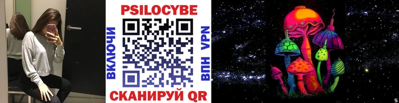 кракен онион  Куровское  Псилоцибиновые грибы GOLDEN TEACHER 