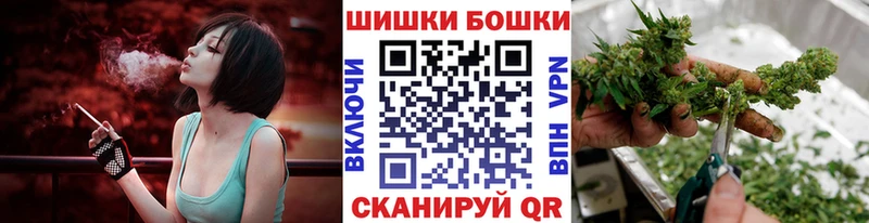 darknet наркотические препараты  Куровское  Конопля план  купить наркотик 
